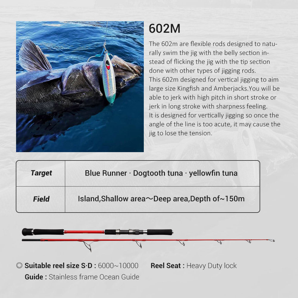 NOEBY 2-teilige 1,83 m OCEAN J – Fishing Rod Surf Bewertung und Preis