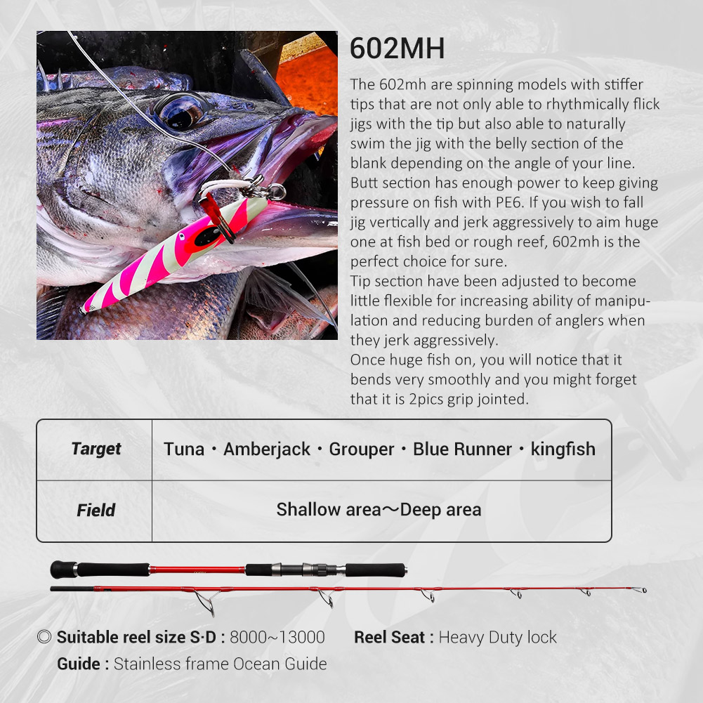 NOEBY 2-teilige 1,83 m OCEAN J – Fishing Rod Surf Bewertung und Preis